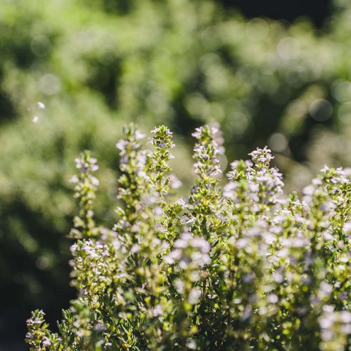 Pacherhof Hotel & Winery: Herzlich willkommen! Pacherhof Hotel & Winery: Herzlich willkommen!