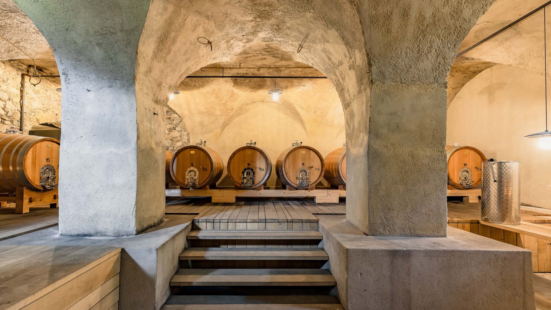 Winery tours with wine tasting in South Tyrol Winery tours with wine tasting in South Tyrol