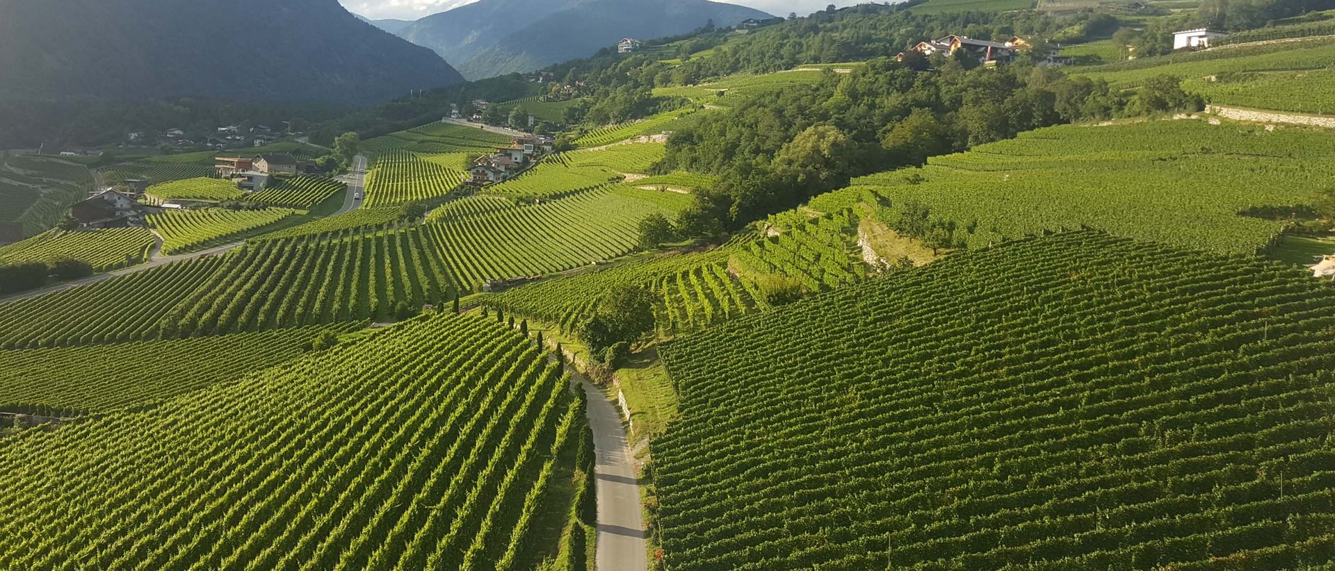 Pacherhof Hotel & Winery: Herzlich willkommen! Pacherhof Hotel & Winery: Herzlich willkommen!