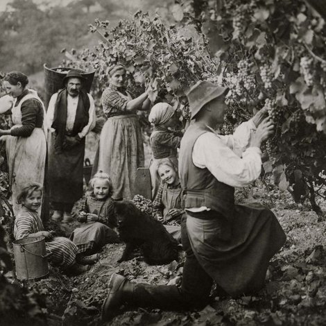 Pacherhof Hotel & Winery: Herzlich willkommen! Pacherhof Hotel & Winery: Herzlich willkommen!