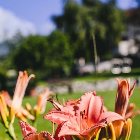 Pacherhof Hotel & Winery: Herzlich willkommen! Pacherhof Hotel & Winery: Herzlich willkommen!