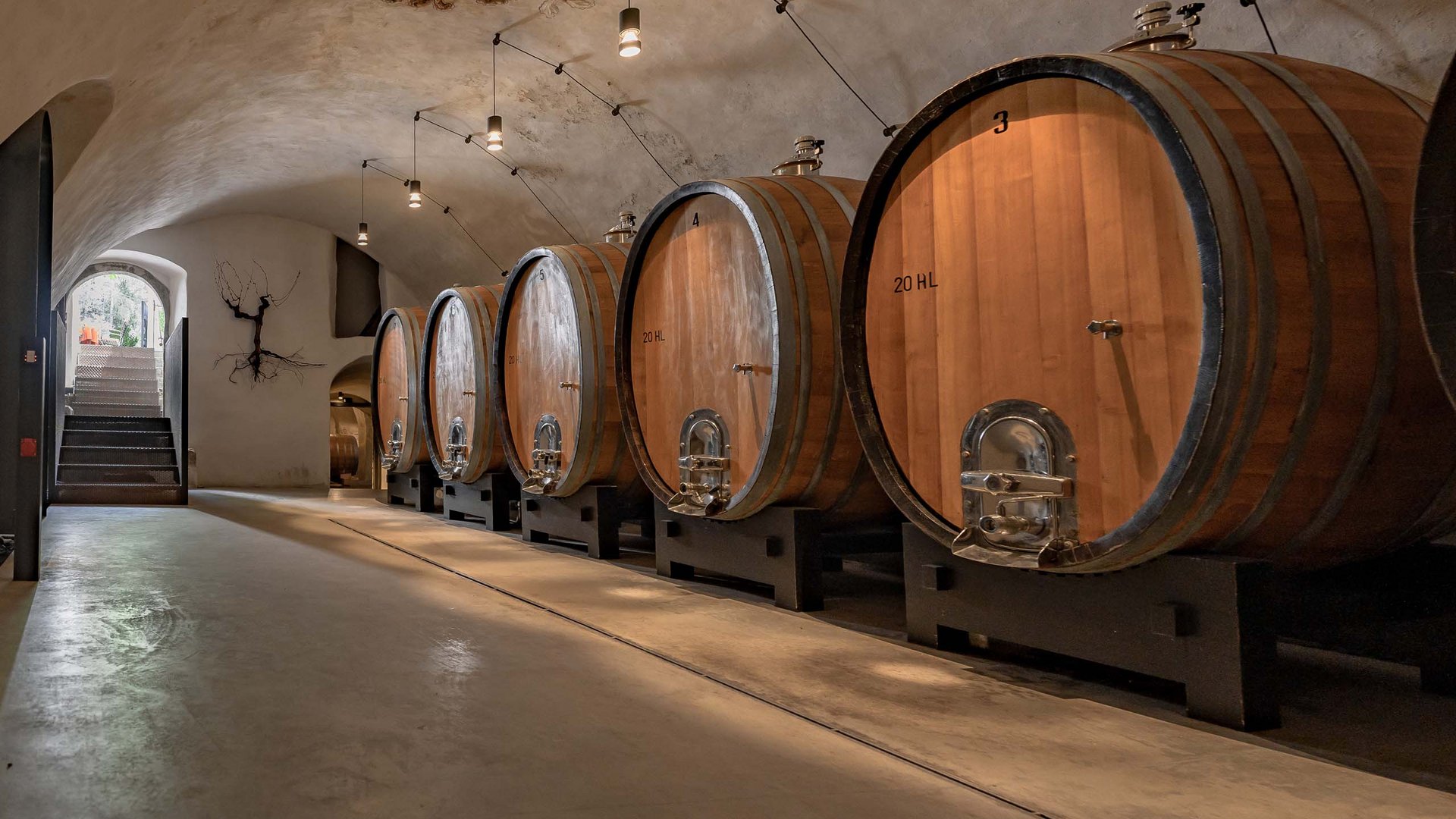 Pacherhof Hotel & Winery: Herzlich willkommen! Pacherhof Hotel & Winery: Herzlich willkommen!